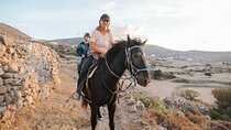 Awaken to Paros: A Scenic Morning Horseback Ride