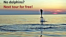 Dolphin Watching Sunset Speedboat Tour with Drinks in Rovinj