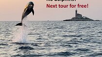 Rovinj Private Dolphin Watching Sunset Speedboat Tour with Drinks