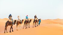 Luxury Sahara Desert Tour from Marrakech : 4-Day to Fes