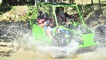 Buggy Adventure for Amber Cove and Taino Bay Passengers
