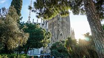Explore Barcelona: A 3-Hour Guided Walking Tour Experience