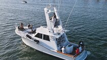 Luxury Bay or Sunset Yacht Cruise in San Diego