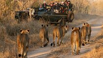 South Africa Cape Town Aquila Safari Full Day Tour