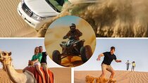Doha:ATV,Quad or Buggy Dune Bashing,CamelRide & Sandboarding