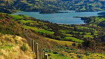 Akaroa Private Group Day Trip from Christchurch