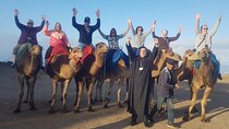 Tangier Luxury Tour Private Guide Plush Van and Camel Bliss