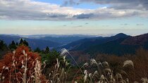 Private Hiking Activity near Tokyo
