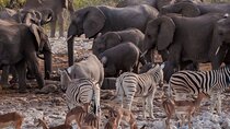 Thrilling Adventures in Namibia Etosha to Sossusvlei in 6 Days