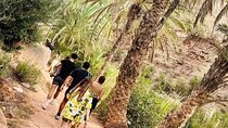 Paradise Valley Agadir Day Trip 