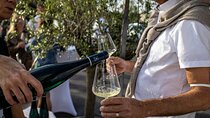 Stellenbosch and Franschhoek Wine Tasting Full Day Guided Tour