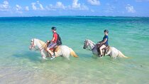Punta Cana Horseback Riding Adventure