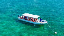 Private Tour Reefs and Corals Puerto Morelos Snorkel Lunch 