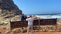 Best of Cape Private Tour: Cape Point, Penguins & Table Mountain