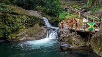 Coffee Farm Hike Through Jamaica Blue Mountains from Ocho Rios