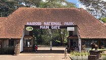 Nairobi National Park Half-Day Game Drive With Free Pick Up