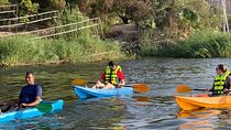 Explore the Nile River by Kayak from Luxor