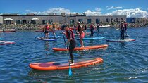 Stand Up Paddleboard Rental at Amager Beach