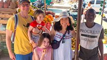 Cartagena, Bazurto Markets, Fruit tasting and Typical lunch