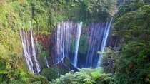 From Jakarta : Java Island To Bali Island 14 Day (Private Tour)