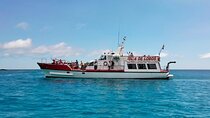 Ferry to Isla de Lobos: round-trip tickets from Corralejo