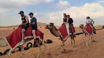 VIP desert safari Dubai: Quad Bike, BBQ Dinner With Private Car