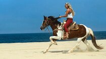 Two Hours Adventure Horse Riding In Hurghada