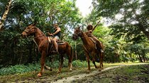 Extreme Horses Adventure with ATV, Ziplines & Cenote