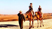 Explore Agafay with Morning Bus Tour from Marrakech