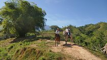 Horse Riding through Jungle with Local Lunch