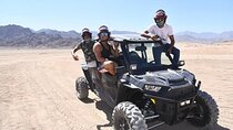 Family Buggy Adventure Desert Safari Tour In Sharm El Sheikh