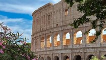 (На русском)Colosseum, Roman Forum, and Palatine Hill Tour