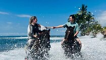 Best Bali Horse Riding Experience 