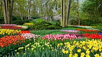 From Amsterdam - Private Keukenhof Garden Tour (Skip-the-line)