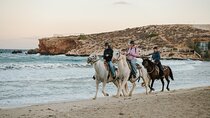 Sunrise Serenity: Horseback riding in Paros