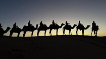 3 Day Private Morocco Desert Tour Marrakech from Fes