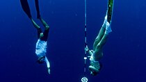 Discover Freediving Course