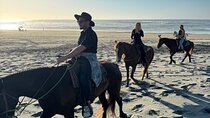 All-Inclusive Horseback Riding on the Beach in Mexico