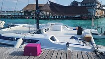 Private Catamaran Tour to Isla Mujeres 