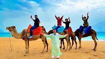 Luxury day in Tangier from Tarifa including ferry & camel ride ….