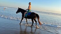 30 Minutes Horse Riding Seminyak Beach