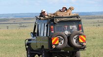 3 days Masai Mara Group shared Adventure on 4x4 Land Cruiser