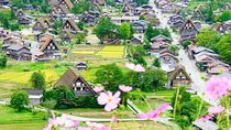 Nagoya Shirakawa go Village and Takayama One Day Tour