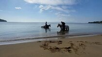 Skiathos Horseback Adventure 