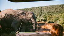 10 Day Cape Town Kruger and Johannesburg Tour