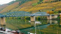 Pinhão Boat, lunch&wine tour 
