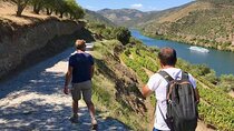 Pinhão Hiking Tour