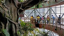 Dubai Green Planet Rainforest Admission Ticket