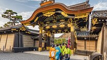 Kyoto Highlights & Optional Tickets Full-Day Guided Tour