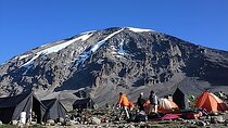 Kilimanjaro Climb Tour Experience via Machame Route